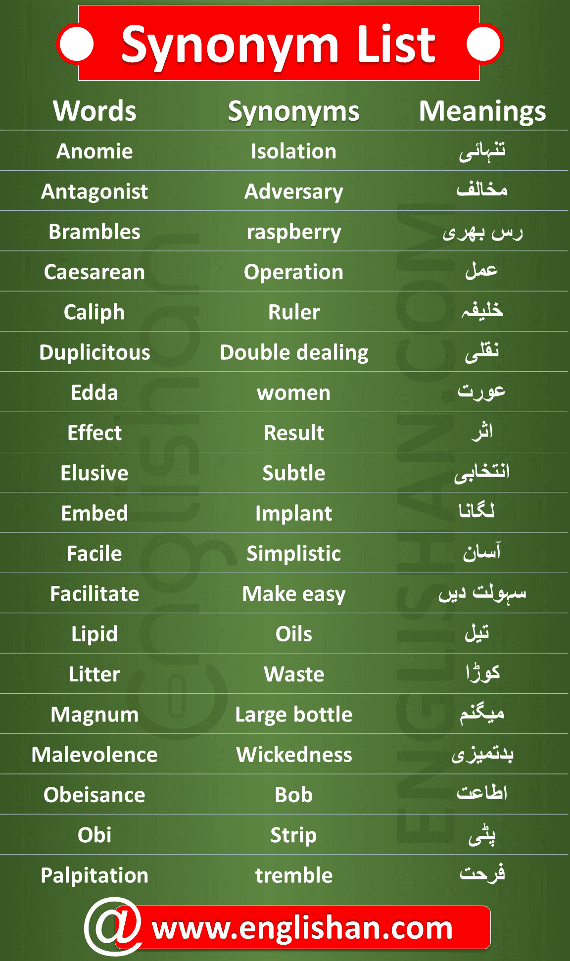 synonyms list with meaning in English