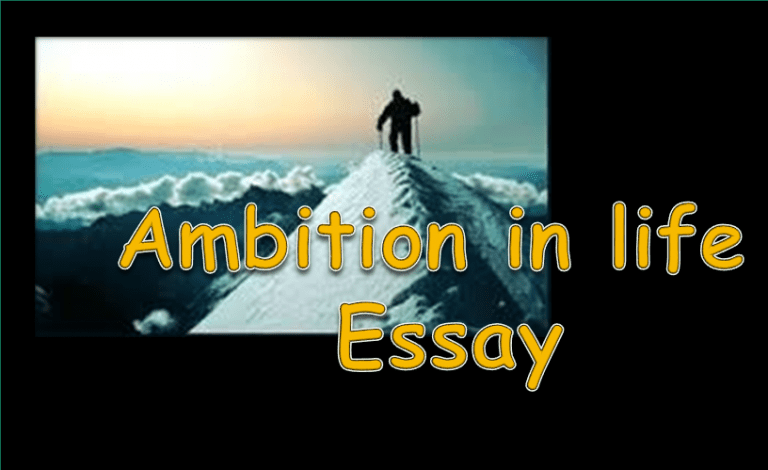 aims and ambitions essay