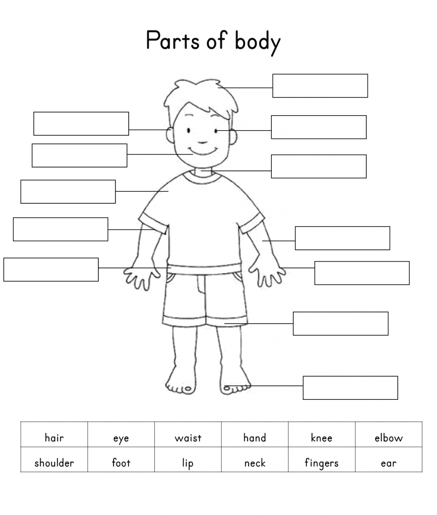 human-body-parts-body-parts-worksheet-list-the-body-parts