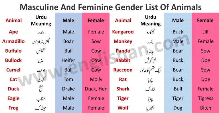 100-examples-of-masculine-and-feminine-gender-list