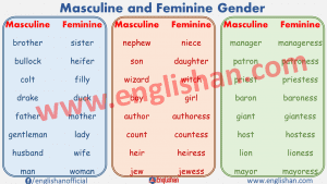 Gender list feminine Gender Pronouns