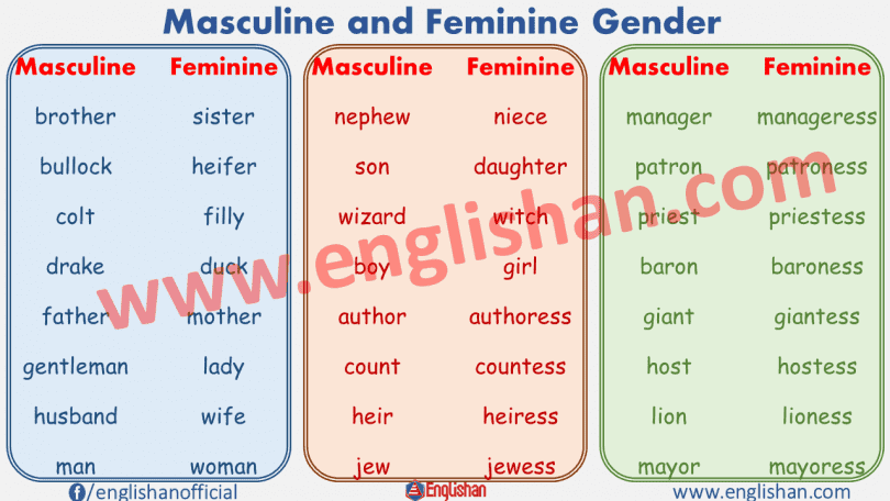 100 examples of masculine and feminine gender list