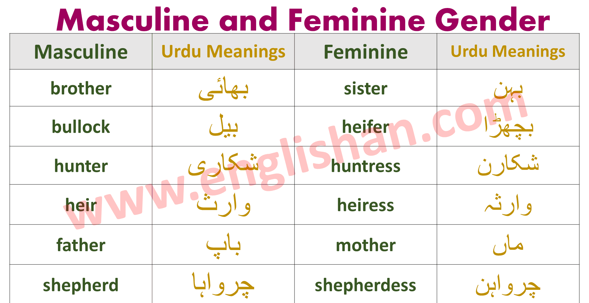 100 Examples of Masculine and Feminine Gender List