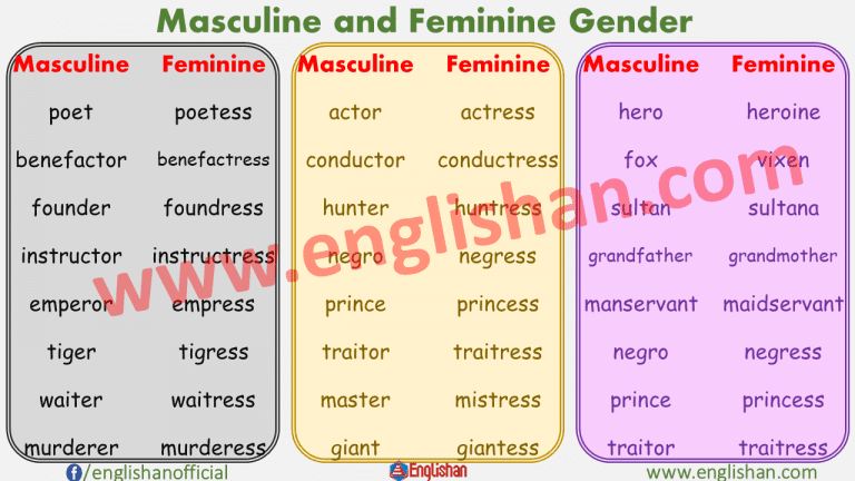 100 Examples of Masculine Feminine Gender List • Englishan