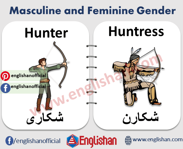 Masculine and Feminine Gender 1000 Examples and List