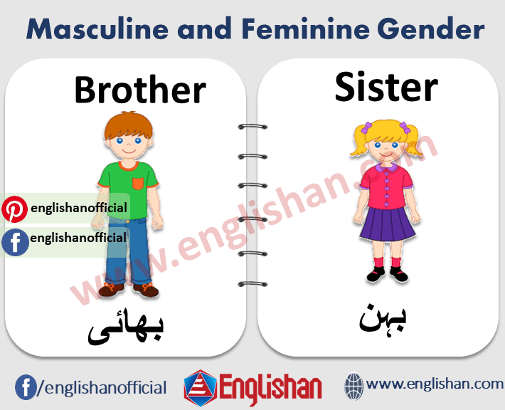 Gender list feminine Masculine And