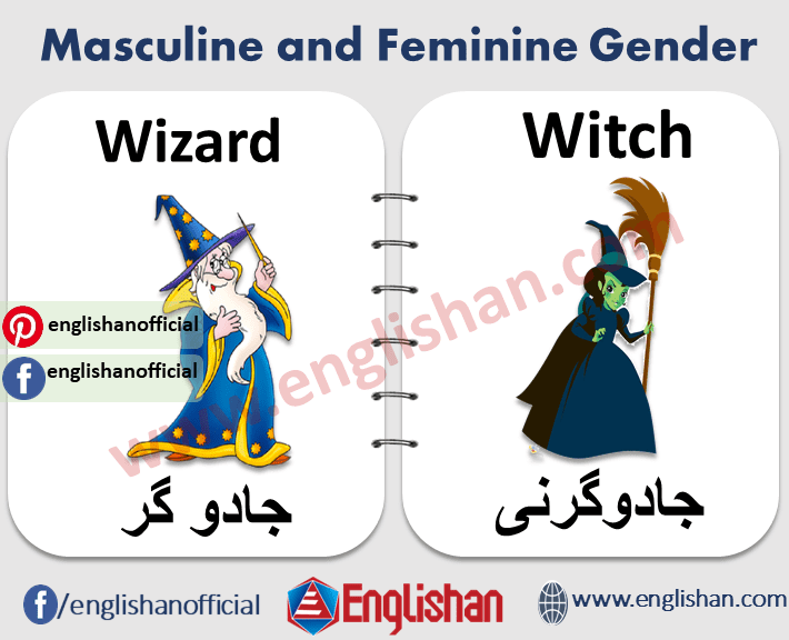 fenetre masculine or feminine