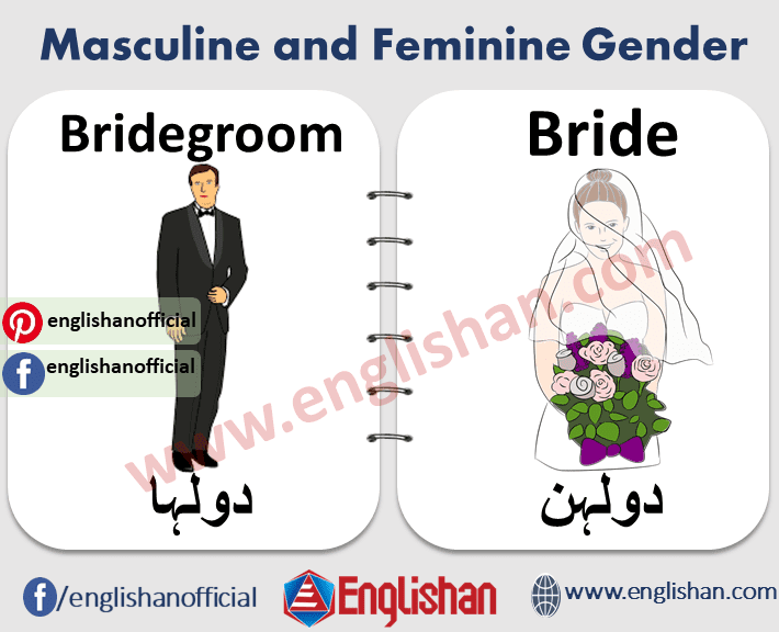 100 Examples of Masculine and Feminine Gender
