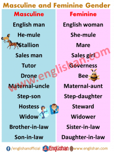 100 Examples of Masculine Feminine Gender List • Englishan