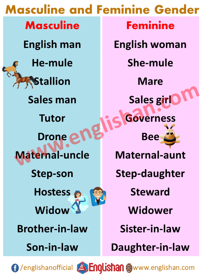 100-examples-of-masculine-feminine-gender-list-englishan