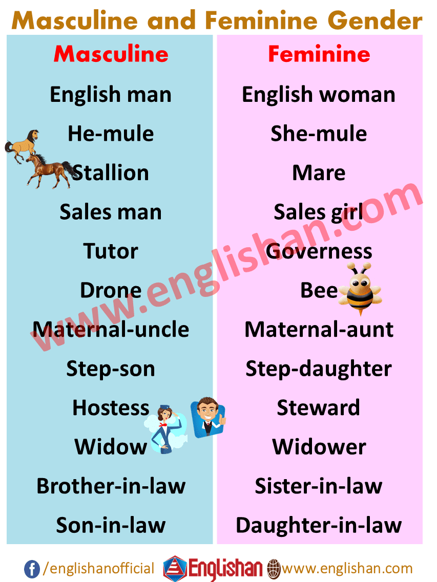 masculine and feminine nouns