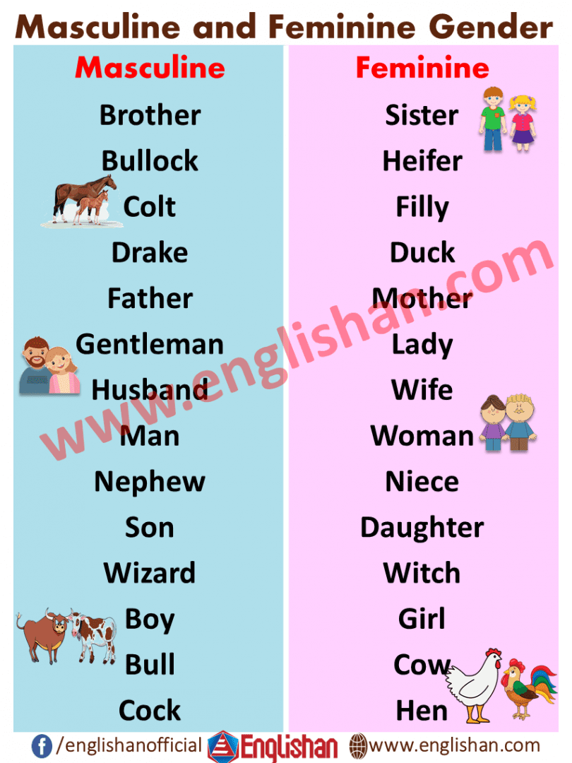 100-examples-of-masculine-feminine-gender-list-englishan