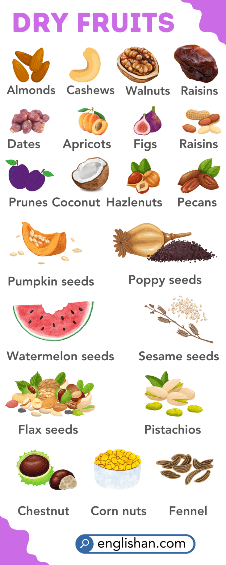50 Dry Fruits Names in English with Infographics • Englishan