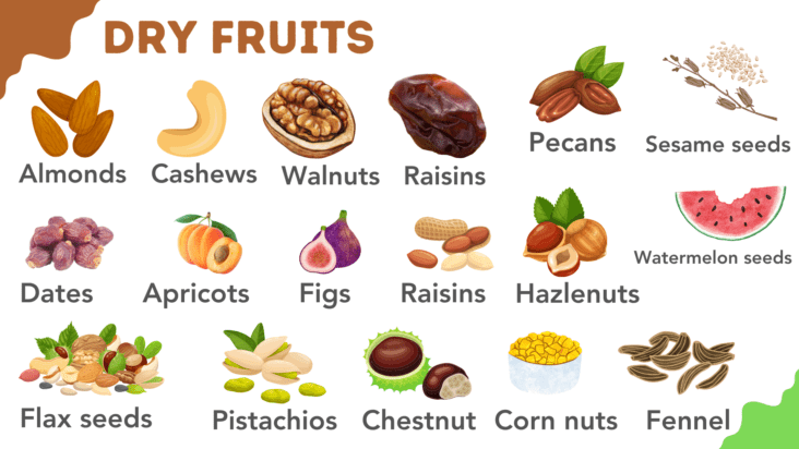 Dry Fruits Names Vocabulary