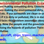 environmental pollution article in English