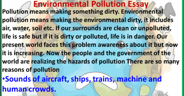 environmental essay pollution disadvantages internet advantages pdf english