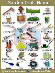 English Picture Vocabulary with PDF • English Visual Dictionary