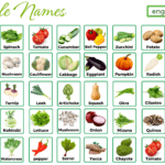 All Vegetables Names in English with Pictures