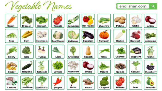 Vegetables Name in English with Pictures • Englishan