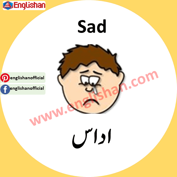 Feeling Words in Urdu