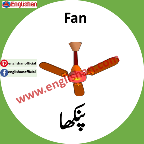 Fan meaning In Urdu