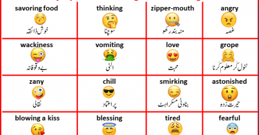 All Emoji Meaning In Urdu And English For Whatsapp And Facebook