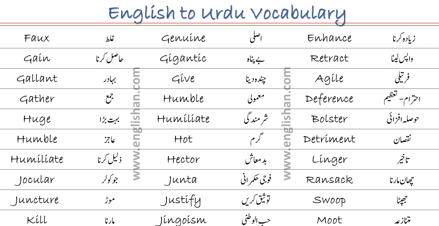 250 English Words with Urdu Meanings PDF - Englishan