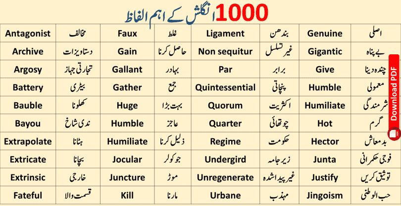 250 English Words With Urdu Meanings PDF Englishan