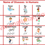 Name of Diseases in Humans in Urdu