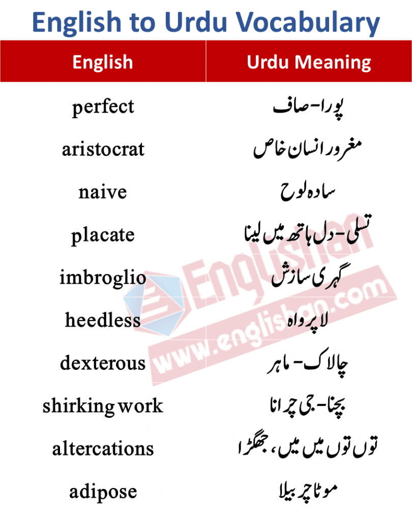 biography meaning meaning in urdu