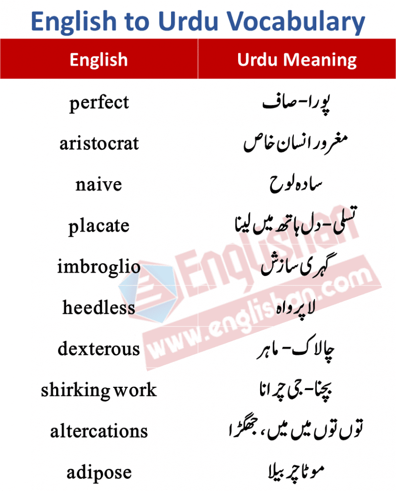 250 English Words with Urdu Meanings PDF • Englishan