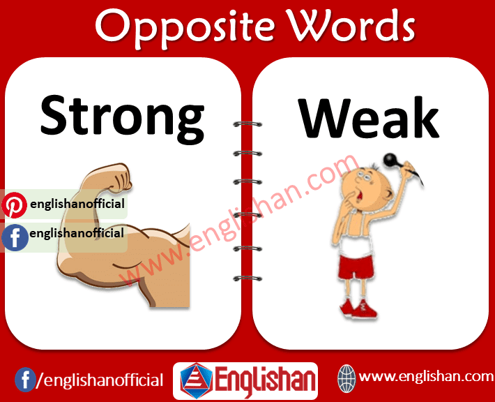 Opposite Words List for Kids in English 