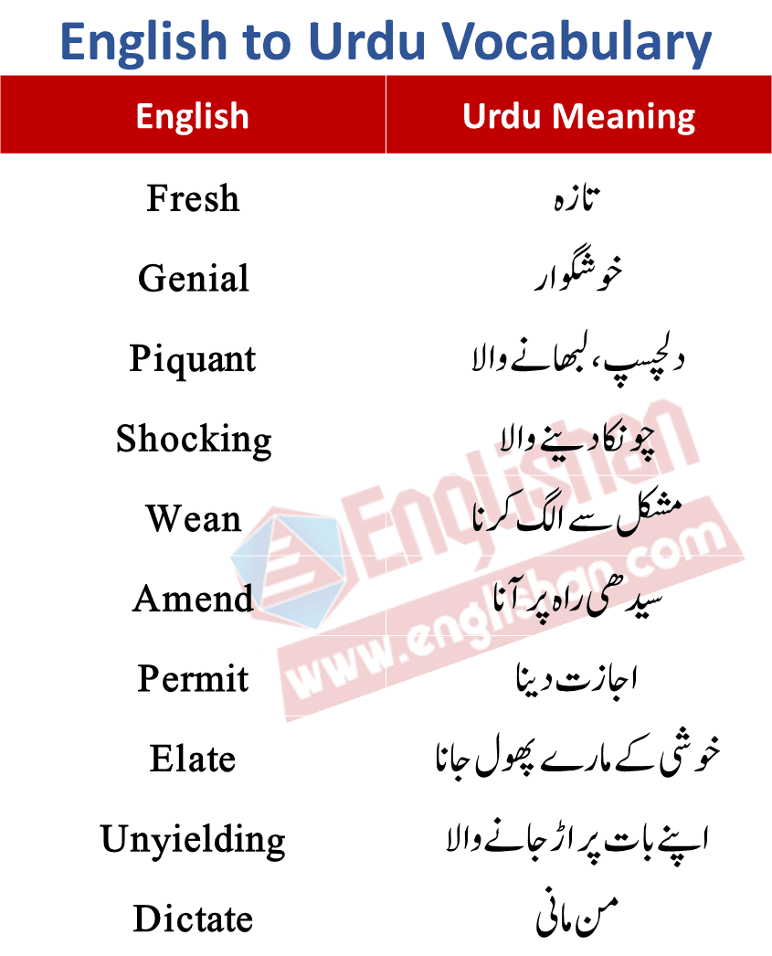 English in word meaning Daily Use
