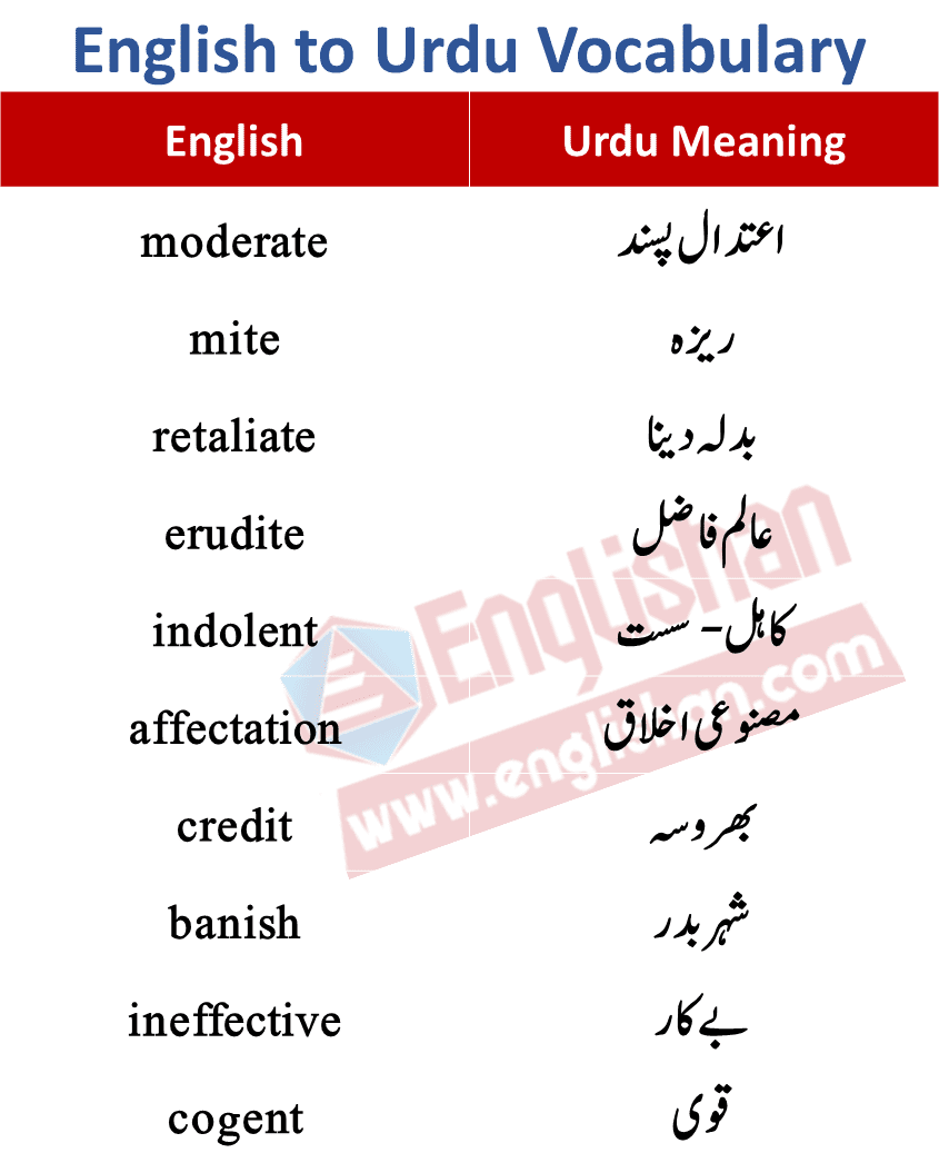 arabic-sentences-with-urdu-translation-english-vocabulary-words