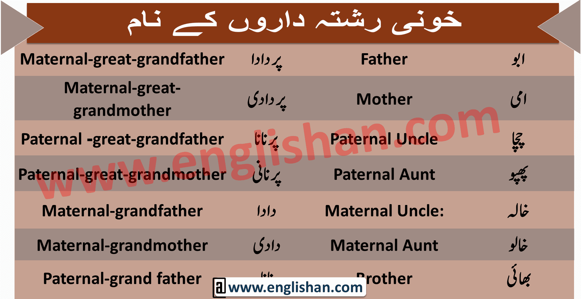 Family Members Names Of Members Of The Family In English To Urdu
