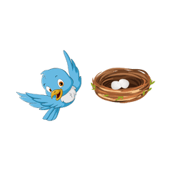 Bird - Nest