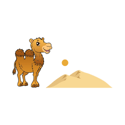 Camel - Desert