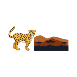 Cheetah - Savannah