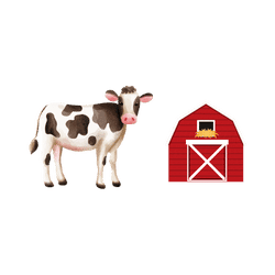 Cow – Barn