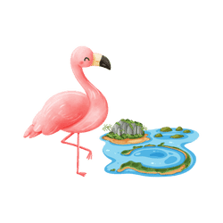 Flamingo - Lagoon