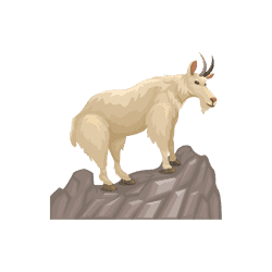 Goat - Mountains