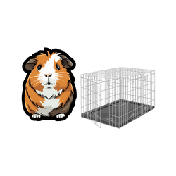 Guinea pig - Cage
