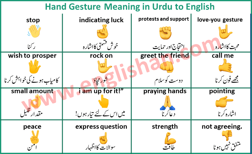 99+ Popular Hand Gestures and Signs Meanings in Urdu (2023)