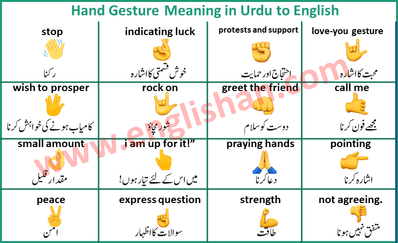 Hand Gesture Meaning in Urdu to English