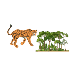 Jaguar - Rainforest