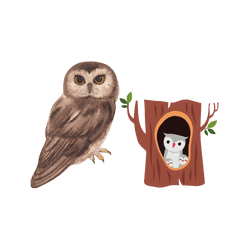 Owl - Tree hollow