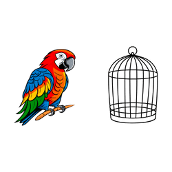 Parrot - Rainforest