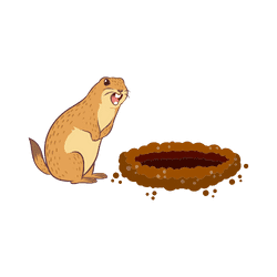 Prairie Dog - Burrow