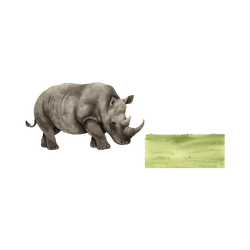 Rhinoceros - Savannah