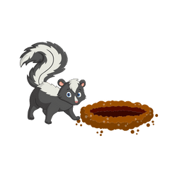 Skunk - Burrow